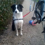 naast de fiets en wat ben ik al goed !