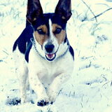 sneeuw