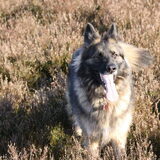 Foto van MARINA <<shana>>