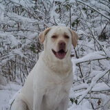 Foto van esther