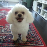 that i my lovely boy kevin