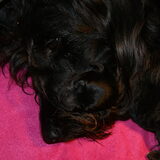 Foto van Jenny