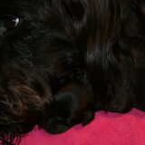 Foto van Jenny
