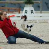 Gangster Dogfrisbee