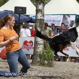 Guide tijdens demo animal event