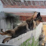 Hallooooo, is daar iemand??