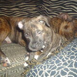 wat is ze toch schattig