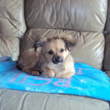 lady ligt lekker :-) 14-2-'13 3mnd -3weken-4dagen