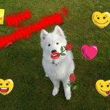 Foto van Team Black & White