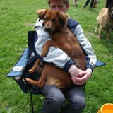 lekker op schoot bij de 1ste show