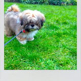 Guus 4mnd en 2 daagjes (16/2/13)