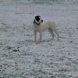 Sneeuwpret