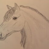 paard getekend