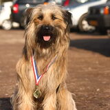 Foto van team Shadow