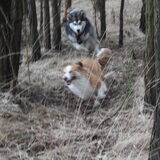 Foto van Tamara