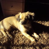 zon-genieter :-p