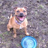 Zara, 9 maanden