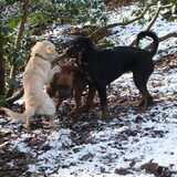 Foto van jackiie nova&bailey
