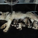 mama en al mijn broertjes en zusjes dag 1