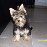 Luca, 4.5 maanden