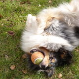 Foto van Lizzie en Sterre
