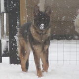 Heerlijk, die sneeuw!