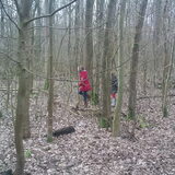 lekker door het bos!