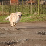 Foto van Julie & Yucca <3