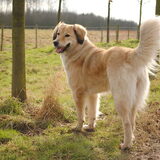 Foto van Julie & Yucca <3