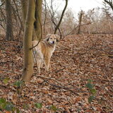 Foto van Julie & Yucca <3