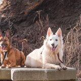 Foto van Hetty & Skipper