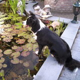 Ons fotomodel Guinness.