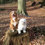 Sandy en Diva