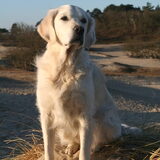 21-2-2013 Mijn knappe Taartje