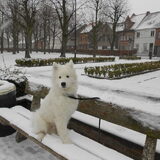 Foto van Team Black & White