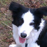 Tess 6 maanden
