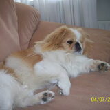 Foto van roxanne & balou