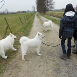 Foto van Team Black & White