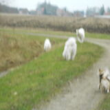 Foto van Team Black & White