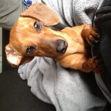 Lieve Diva!!
