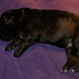Hier is Max twee weken