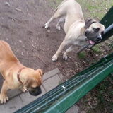tequila met lizzy