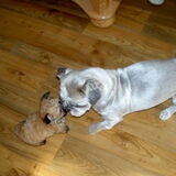 samen knuffelen