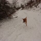 Foto van Kimberley