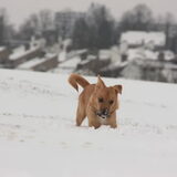Foto van Kimberley