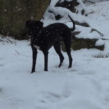 weer sneeuw