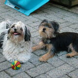 De twee dames...