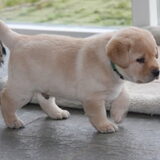 Denzel 4 en een halve week oud