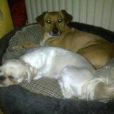 Deva met grote vriendin Caro