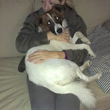 Foto van Tara & ~Mylo~